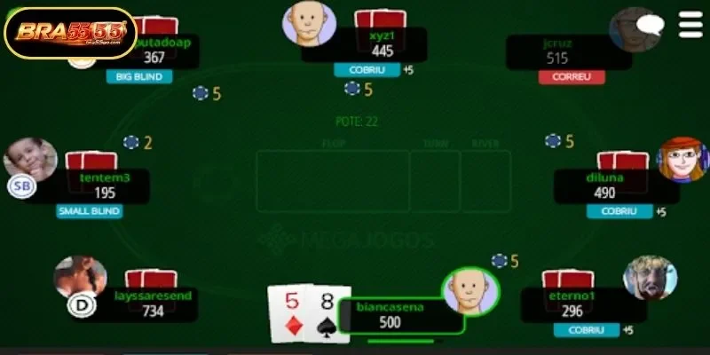 Final Summary of Professional BRA55 Card Games Management