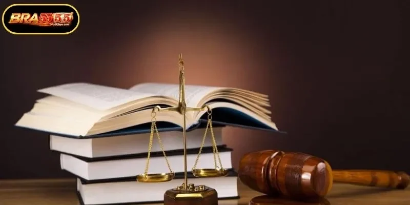 Updates to the Legal Framework and Future Changes