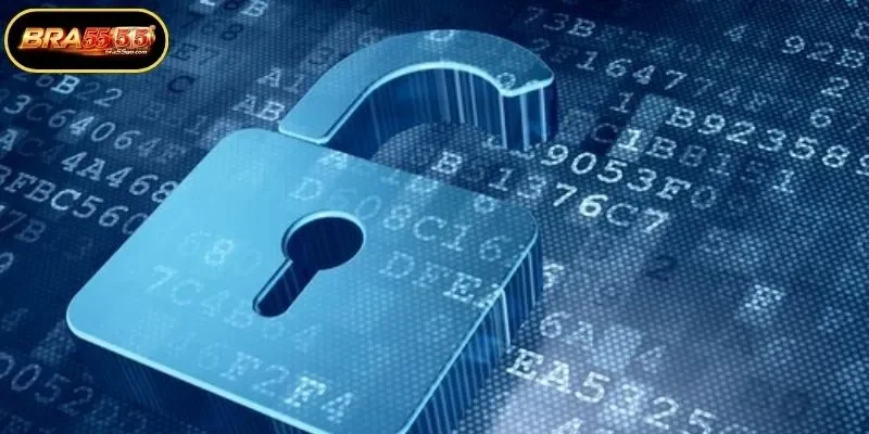 Why the BRA55 Privacy Policy is Essential for Players